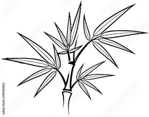 Stylized black and white ink illustration of a bamboo stalk with leaves