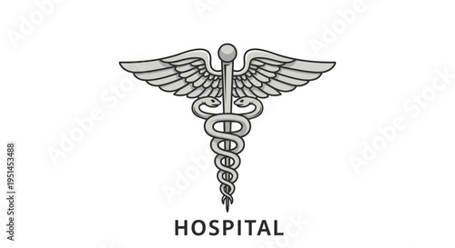 A silver caduceus symbol with wings and two entwined snakes, commonly associated with medicine and healthcare, with the word 'HOSPITAL' written below it.