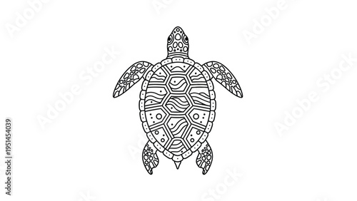 Intricate line art drawing of a sea turtle, showcasing detailed shell patterns and marine life artistry.
