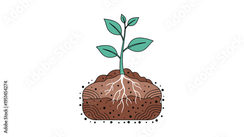 Young plant with visible roots growing in fertile soil, depicting concepts of growth, new beginnings, nature, and agriculture.