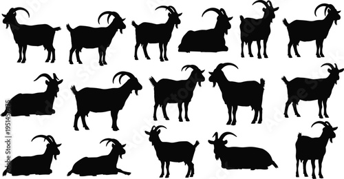 Black silhouette vector set of mountain goats and domestic farm goats featuring various poses like standing, walking, and sitting for livestock farming agriculture design.