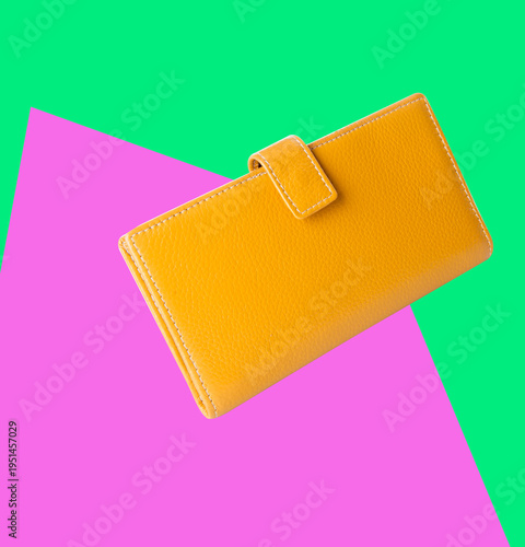 wallet. woman wallet on a background
