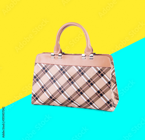 bag. women bag on a background
