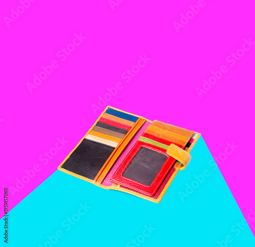 wallet. woman wallet on a background