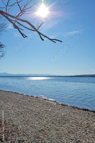 Obraz na plátně Calm autumn lakeside scene at Lake Starnberg in Upper Bavaria, Germany, with clear blue water, pebbled shore, bare tree branches and distant alpine horizon under bright sunlight