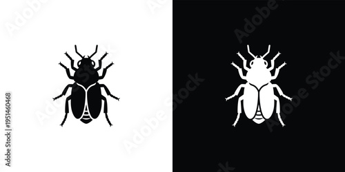 Black and white beetle silhouettes on split color background insect