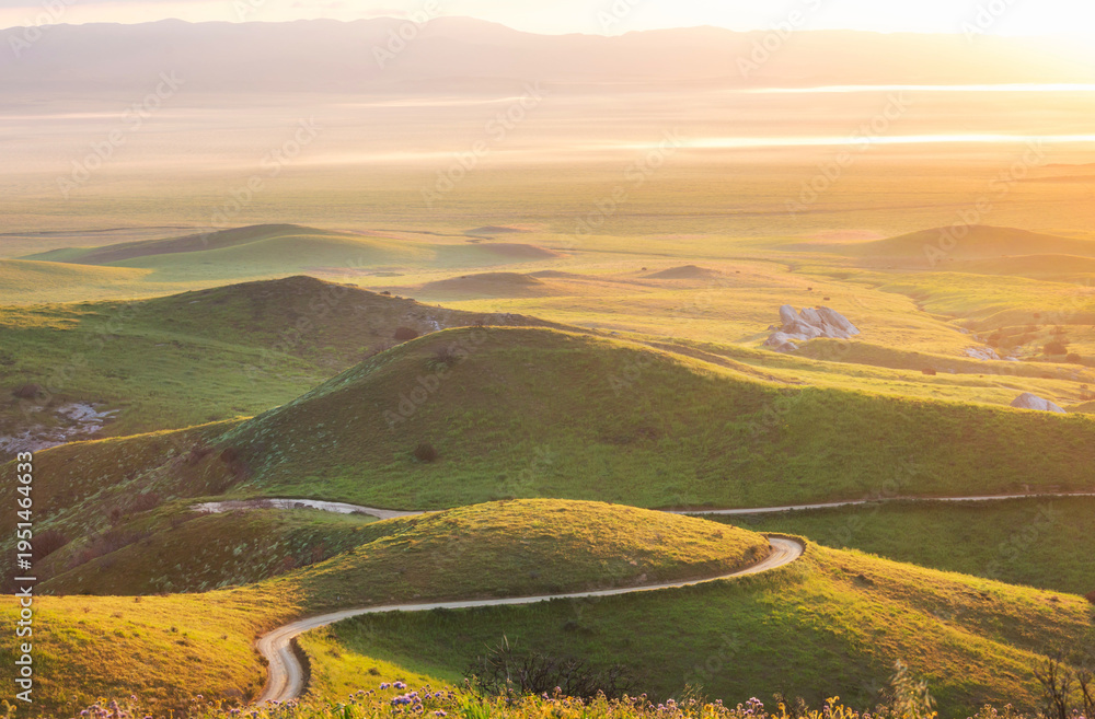 Naklejka premium Carrizo