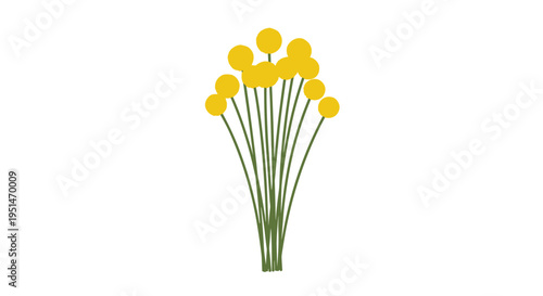A simple illustration depicts a bunch of yellow, spherical flowers on slender green stems.
