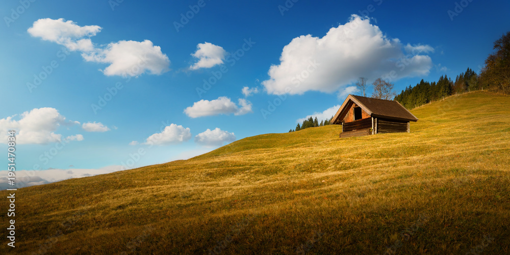 Naklejka premium Lone cabin on a hill, with golden meadow, blue sky and fluffy clouds. A rural minimalistic idyllic landscape in the German Alps in Bavaria.