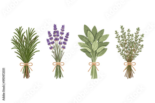 Herbs and lavender bunches with tied twine, perfect for culinary uses