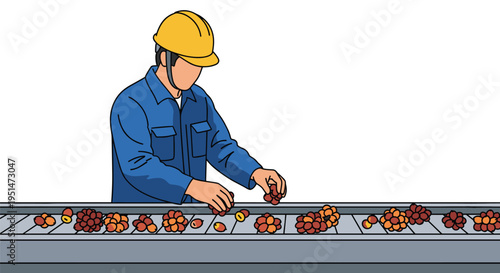 A worker in a yellow hard hat sorts reddish-orange fruits on a grey conveyor belt against a white background.