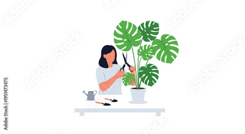 A woman prunes a large Monstera plant in a white pot with scissors, with gardening tools on a table.