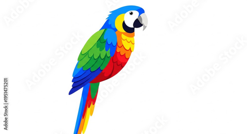 Colorful parrot bird profile view.