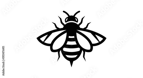 Black and white vector illustration of a bee on white background