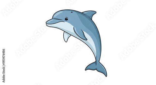 dolphin jumping out of water.