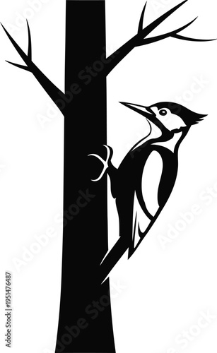 Woodpecker perched on a tree trunk detailed black and white illustration silhouette