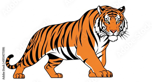 Tiger standing in alert position sideways.