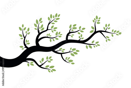 Black tree stem with green leaves vector illustration for nature theme growth and structure design