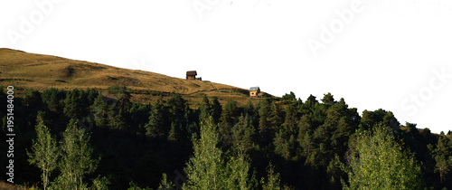 Small wooden cabins on a golden grassy hill with pine forest isolated on white. PNG file