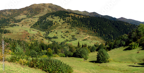 Expansive green mountain slopes with pine forests and rural huts isolated on white background. PNG file