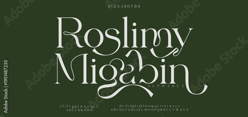 Roslimy Migabin typography beauty fashion elegant minimalist serif italic fonts decorative wedding vintage retro logos. Minimal luxury font alphabet logo. Vector illustration
