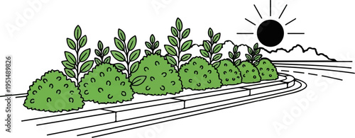 Sunny day with green bushes, leaves, and a winding road