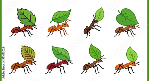 Ants diligently carrying large green leaves across a white background