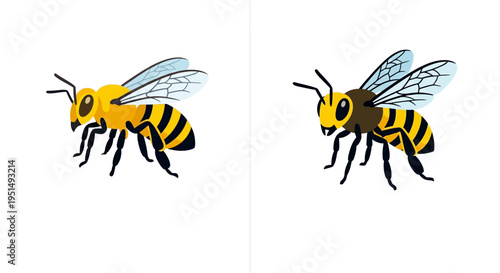 Two illustrated honeybees are depicted in contrasting color schemes
