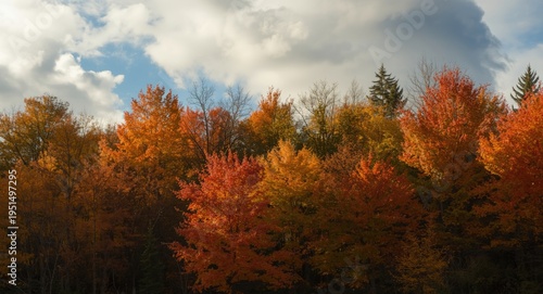 Fall nature scene highlighting vibrant trees and a partly cloudy sky with classical compositional balance