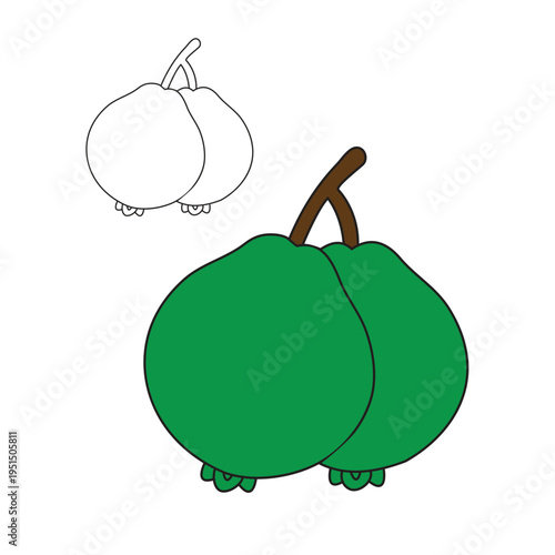 Guava coloring page vector illustration