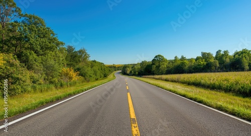 Expansive asphalt lane running through woodland with clear blue skies ideal for background images