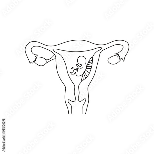 Female organs vagina vector illustration