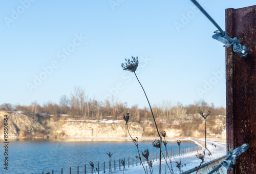 Canvas-taulu Dried wild carrot plant umbel standing against blue sky near water filled quarry with limestone cliffs