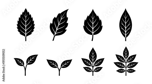 a collection of black leaf icons arranged on a clean white background, suitable for design, decoration, or educational purposes