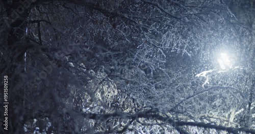 Snow falls among the branches of trees on a winter night illuminated by a street lamp