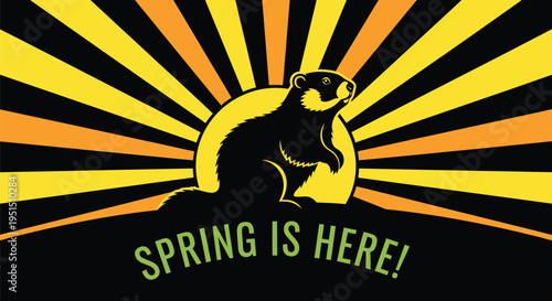 Bear Emerging from Hibernation in Spring.