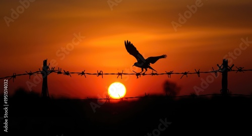 Silhouette of a bird flying over barbed wire during an autumn sunset commemorating abolition history