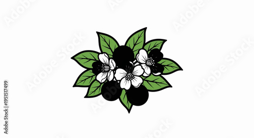 Stylized illustration of black berries with white flowers and green leaves