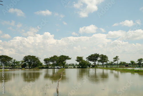 Фотография Sunny Midday Landscape with Fish Ponds and Trees