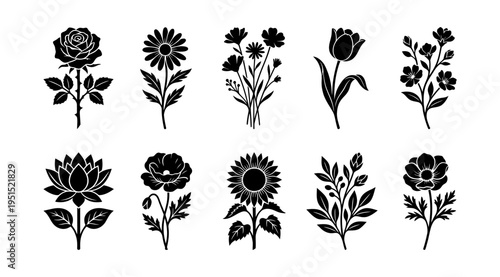 a collection of black floral silhouettes arranged on a clean white background, ideal for use in graphic design, decoration, and digital art projects