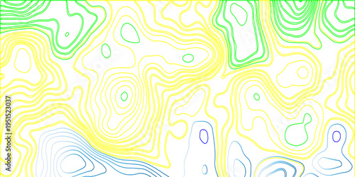 Abstract Topographic Colorful Contour Lines Background, Minimal Map Style Vector Illustration, Flowing Wavy Lines Pattern, Modern Geographic Terrain Design, Organic Fluid Shapes, Monochrome