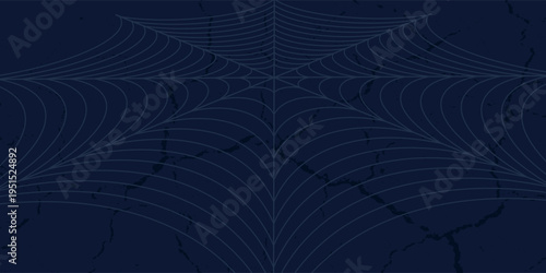 Abstract background of spider net with white and blue color. Vektor modern.