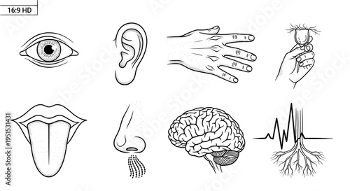 set of hand drawn illustrations