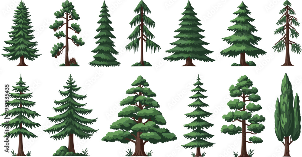 Obraz premium Various Pine Tree Illustrations Set with Detailed Greenery and Woodland Elements for Nature and Forest Designs