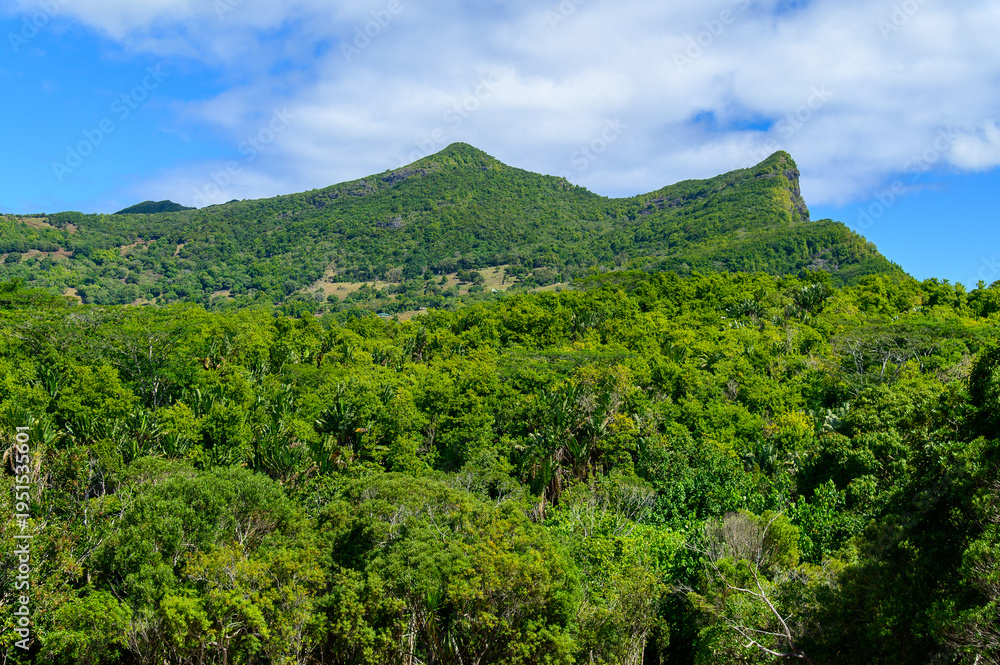 Obraz premium モーリシャスで眺めるとても美しい緑の風景A beautiful green landscape in Mauritius