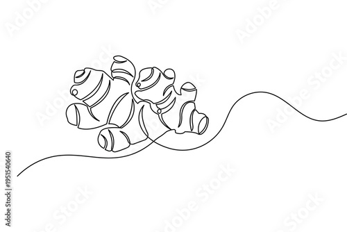 Ginger continuous one line drawing minimalist style isolated outline vector illustration