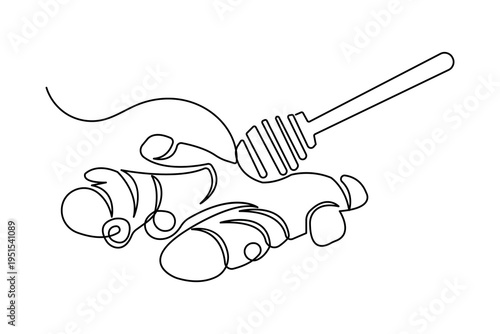 Ginger continuous one line drawing minimalist style isolated outline vector illustration