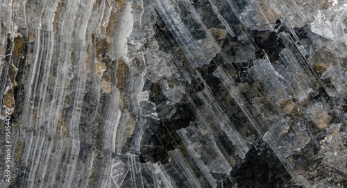 Macro photograph of gneiss with clear foliation and complex mineral structure on dark backdrop