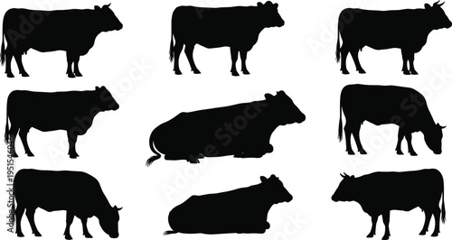 Cow silhouettes collection featuring cattle in standing,farm animal set isolated on white background for agriculture and livestock design use