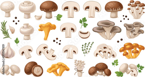 Fresh Edible Mushroom Collection with Champignon, Oyster, Shiitake, Chanterelle, and Forest Varieties Isolated Vector Illustration for Organic Food Design